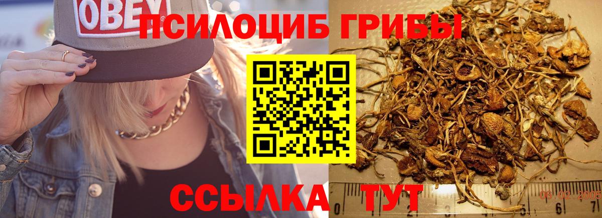 Псилоцибиновые грибы прущие грибы  Вход с VPN  Галлюциногенные грибы прущие грибы  Сальск 