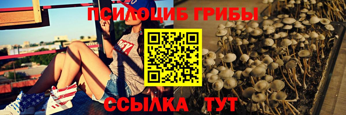 Галлюциногенные грибы мицелий Сальск